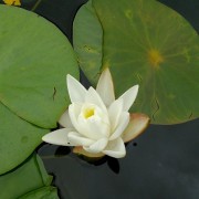 IMG_20150725_144825 (Custom)