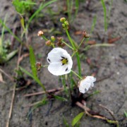 IMG_4492 (Custom)