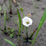 IMG_4493 (Custom)