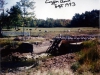 chase_archive18