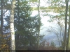 campic-algal-bloom