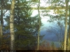 campic-blue-green-algae