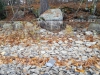 IMG_20141106_082423-with_elevation