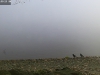 Snap_20141013-080025