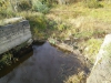 Beaver-trap-10-11-17_compressed