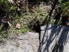 20191015_110246_compressed