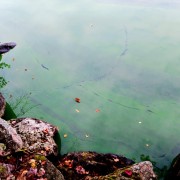20231026_111201-Medium