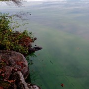 20231026_111207-Medium