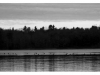 A) 23-loons-on-clary-lake-apr18