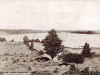 Pleasant-Pond-1-Medium