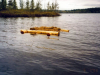 floating_loon_nest