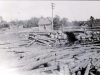 millpond-with-logs