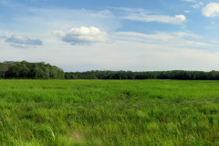 Large Scale Photos and Panoramas