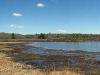 360degree_marsh_panorama06