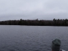 Spring_Marsh_Panorama-4-21-2019