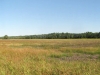 clarksmeadow01_panorama