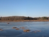 marsh_panorama