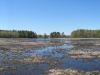 marsh_panorama_12may2012_small