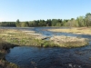 marsh_panorama_southeast_end_small