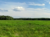 meadow_panorama_20july2013-2