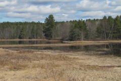 Photos Accompanying Bathymetric Survey Comments