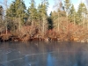 10: floating_bog_exposed01