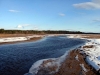 13: img_1154-medium
