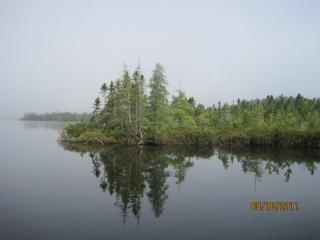 The floating bog, picture by Steve Viti.