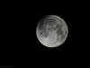 1-DSC_0115