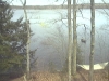 campic-steve-viti-fishing