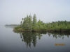 The floating bog, picture by Steve Viti.