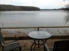 mergansers_ghodgkins-medium