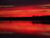 sunset-loon-cdd16eec4935deeb1105759ec264eacebfee9484