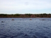 clary_stream___islands_007