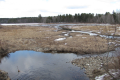 Spring 2013