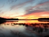 DSC_5591_compressed