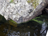 DSC_7012-Medium