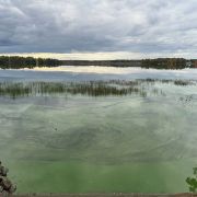 IMG_3580_compressed