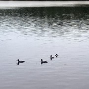 IMG_1717