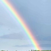 IMG_20260628_194849-Medium