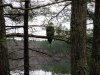 IMG_4208 (Medium)