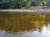 IMG_20150902_160706