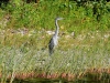 DSC_4932_01_compressed