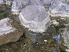 pollen_lines
