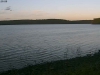 Clary_Cam3-01