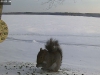 Schedule_20150308-065600.jpg