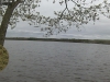 Snap_20150511-111205.jpg