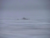 img_3035__medium_