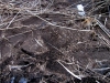 sedimentation01
