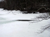 springhole03